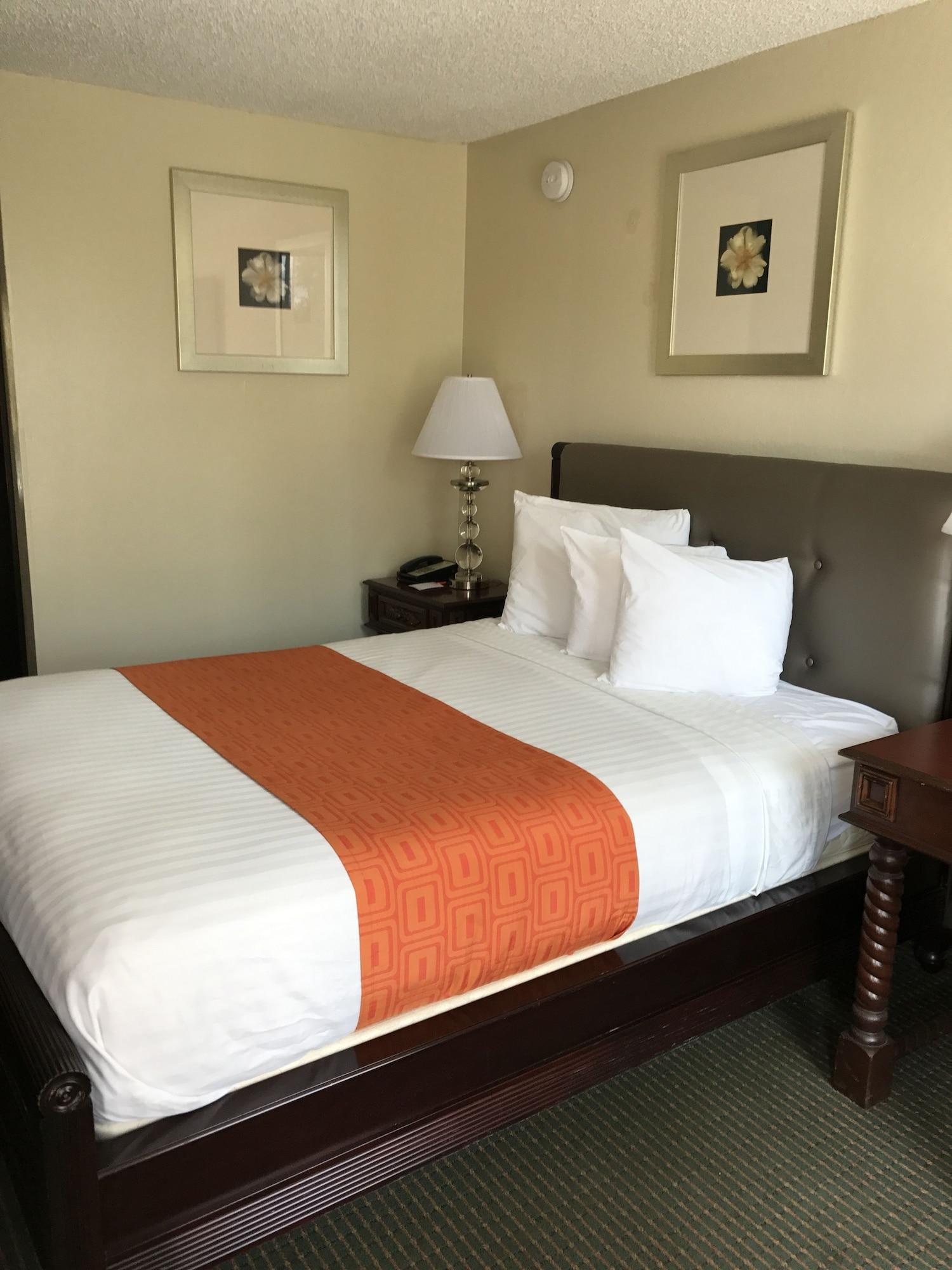 Stayable St Augustine Сент-Огастин Экстерьер фото